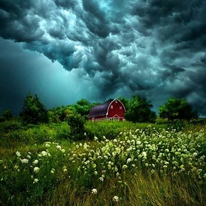 2.1K views · 233 reactions | Outside the window II | My story | Facebook