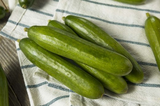 What Is a Persian Cucumber?