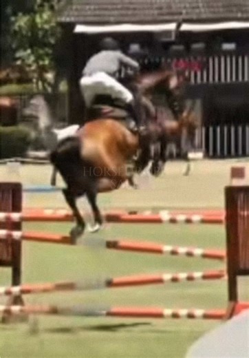 Top Mare 2017 Arezzo VDL for Sale