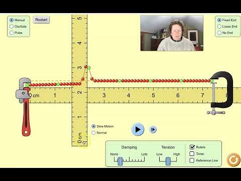 Waves on a String Phet Lab
