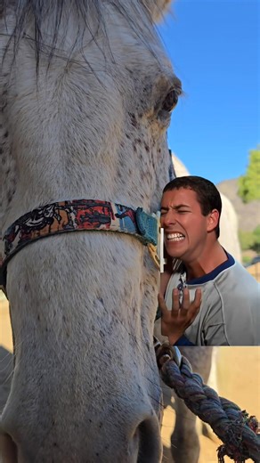 Poor Blue! | Suzann Cottrell