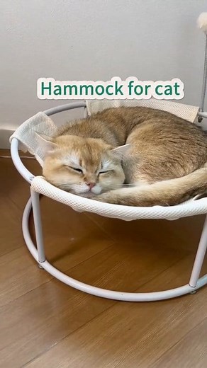 ✨ Elevate Nap Time with the Purr-fect Hanging Cat Bed! Because even cats deserve a *luxe* place to lounge—off the floor!”** 🌟 Link in Comments to order https://www.pawsfurriends.shop/products/cat-hammock-bed-elevated-hanging-chair-for-cats?from-dashboard=1 | Cats Fny