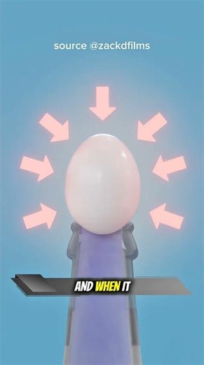 This Egg Goes Into The Bottle Without Being Touched! 🤯” #fypシ #viral #funny #remix