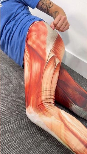 IT Band vs Patellofemoral Pain: The Showdown!