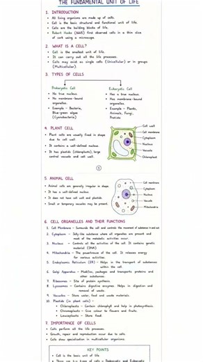 Class 9 NCERT Chapter 5 Notes #studyshorts🔥