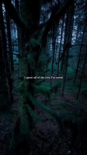 Duncan Laurence - Arcade (Lyrics | lofi song | Loving you is a losing game | #arcade