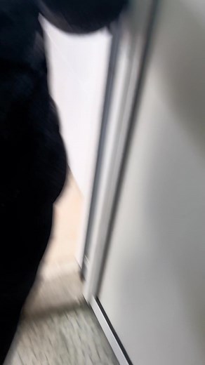 FINAL#fupシ #foryou #foryoupage #himiqta #kucek #varna #bulgaria🇧🇬 #balkan #school #foryoupageofficiall #Maksuda