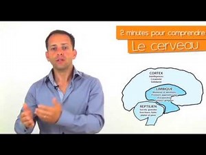 2 minutes pour comprendre le fonctionnement du cerveau