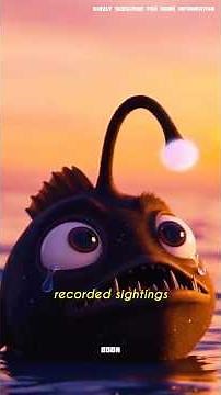 Ultra-Rare Black Seadevil Anglerfish Filmed Near the Ocean Surface! | #anglerfish | BDON