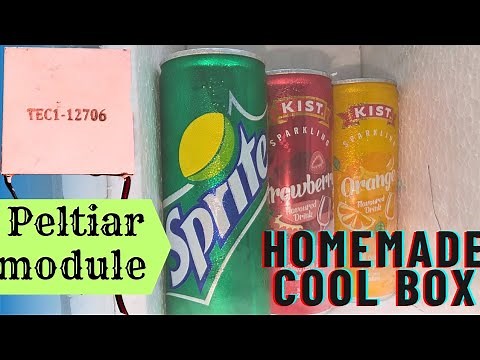 I Built a DIY Mini Fridge Using Only a Peltier Module