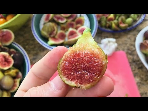 Green Michurinska fig - An Early Adriatic?