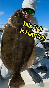 This Fish is FLAT… but delicious!!😋🍽️ This is my favorite fish to target and eat in the fall! Flounder are flat and lay on the bottom waiting to ambush its pray. Unfortunately the season for Flounder is closed in Texas from November 1st to December 14th. 🙌🎣 #Fluke #Flounder #Fishing #Anglers #Baits #Saltwater #HowTo #Tutorial | GG Anglers