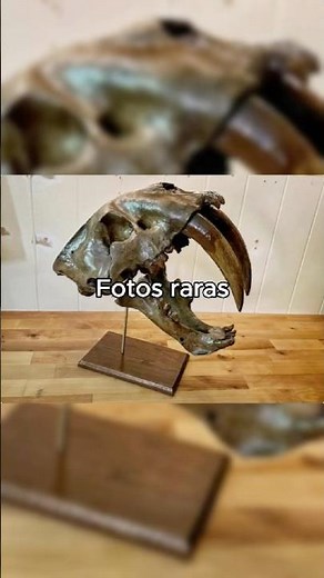 Fotos que demuestran lo loco que era el pasado, parte 23 #historia #curiosidades #fotosraras