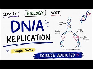 DNA Replication🧬 #dnareplication #genetics #class12 #biology
