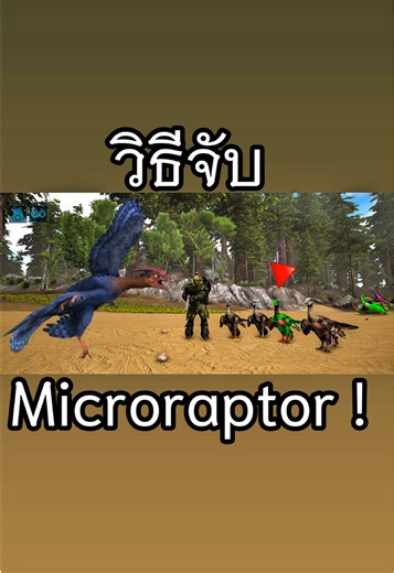 Ark Mobile: How to Catch Microraptor