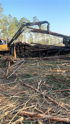 Logging work in action