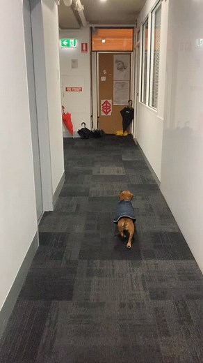 Nothing else matters but Tuesday and Wednesday | Life Drawing