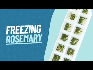 How to Freeze Rosemary | Our Guide to Freezing Rosemary