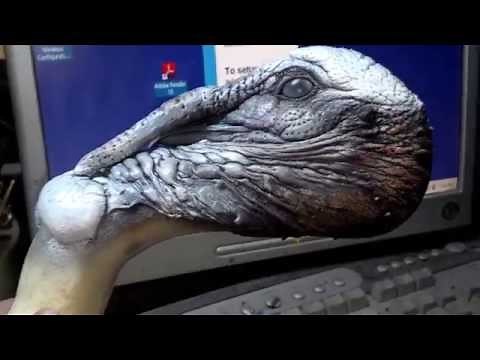 Turkey Head Painting Taxidermy Tutorial