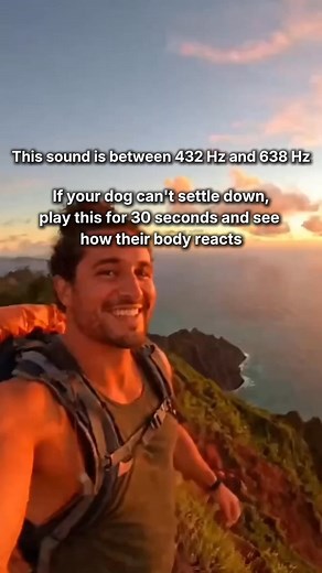 I thought my dog was untrainable. He barked at everything, destroyed furniture when left alone, and pulled so hard on walks that I dreaded taking him outside. I spent thousands on trainers, but nothing worked Then I tried something new: Wagnific's Calm Reset System Within a week, my dog was different: ✔ Walks became enjoyable ✔ Barking stopped driving the neighbors crazy ✔ Training finally “clicked” ✔ He was calm, happy, and focused This 7-day reset has already helped over 20,723 anxious dogs. N