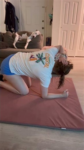 Quadruped thoracic rotation