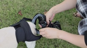 Reusable Dog Poop Pants with 50pcs Bags, Wearable Automatic Dog Poop Collector, Adjustable Sanitary Pant for Senior, Disabled & Incontinent Dogs, Waste Collection Bag Pet Sanitary Underwear (X-Large)