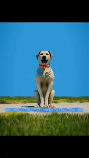 Understanding Sigma Physics for Students