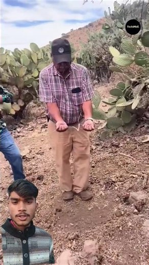 How Water Divining Technique Works #shorts​ #ytshorts​