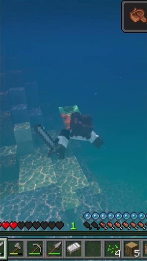 Bon bas, on est m*rt 😅 #minecraft #questcequejedevraischoisir