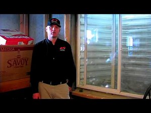 Termite Control : What Do Termite Eggs Look Like?