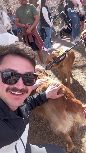 Thousands of golden retrievers fill the streets of Golden, Colorado with joy | York Daily Record/Sunday News