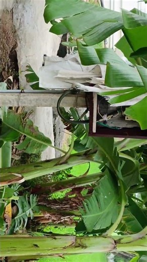 எங்க #ஊரு #villagelifestyle