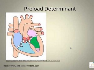 Hemodynamic Video Lecture