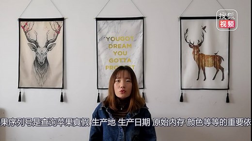 iPhone序列号上的字母代表什么意思?教你两分钟读懂