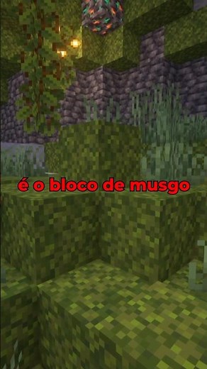 COISAS ESQUECIDAS DO MINECRAFT