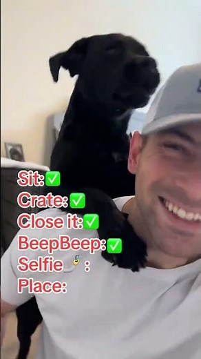 Step by step video tutorials linked in our bio showing exactly how to teach your dog these and more