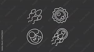 Pregnancy animation library. Insemination animated white line icons. Childbirth biological anatomy. Sperm egg, ovum. Isolated illustrations on dark background. Transition alpha. HD video. Icon pack