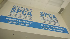 Collège Boréal, SPCA expand vet tech training with new clinic