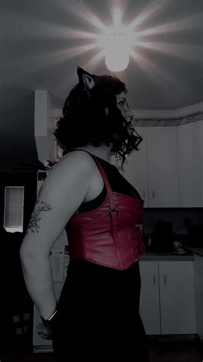 🐾❤️Catra🖤 (Shera princesses of power) . #catra #catrapop #catraprincessesofpower #catrashera #catrasherapop