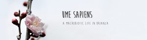 crack,software - Ume sapiens