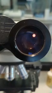 Balantidium coli #microbiologia #laboratorioclinico | Naun Toledo Parra