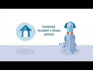 PetSure What is pet insurance