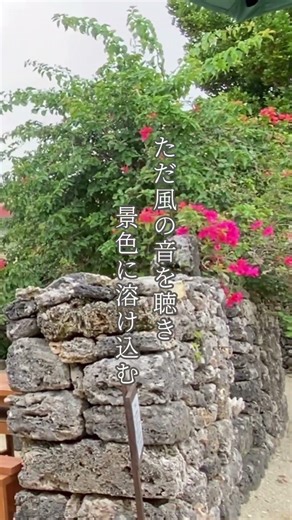 【50代夫婦旅】竹富島で心がほどける島時間 #竹富島 #石垣島 #沖縄旅行