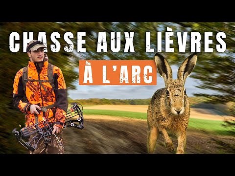 Chasse à l'Arc du Lièvre ! C'est pas facile, surtout à l'arc !