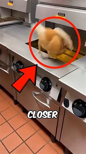 What Raw Chicken REALLY Looks Like Up Close 👀