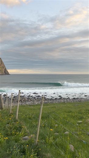 1.8M views · 15K reactions | This surf pooch is called Papaya but never mind that, check out Norway’s answer to J-Bay in the background and come see how this swell panned out earlier this week, here: bit.ly/3KEQ6jX | Magicseaweed | Facebook