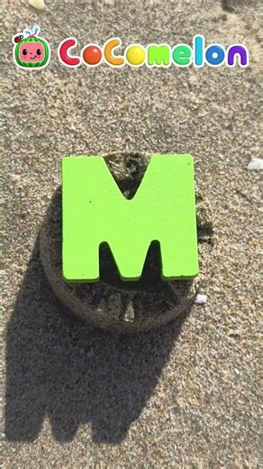 Sing the Alphabet at the BEACH! 🪣🔤 #cocomelon #summer #learn