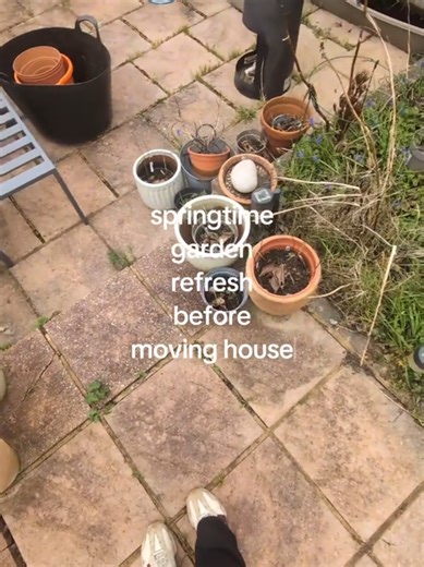 springtime garden refresh before we move house! we hopefully move house soon I've been on a mission to sort out all my pots and beds with what I'm taking with me. very cold but productive job! #gardening #movinghouse #springgardening #springcleanup