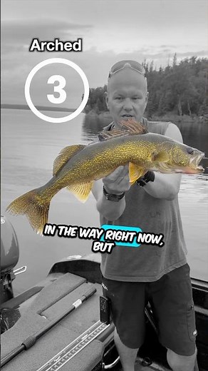 How to take THE BEST FISH PICTURE 📷 #FishPic #howto