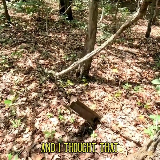 10K views · 267 reactions | I explore one half of a historic African American cemetery in Georgia—split down the middle by a road. One side is maintained. The other? Lost in the woods and forgotten. #history #africanamericancemetery #georgia | Adventures Into History | Facebook